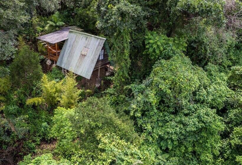 اتاق استاندارد یک نفره, Earth Lodge