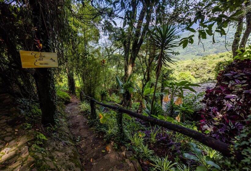 اتاق استاندارد یک نفره, Earth Lodge