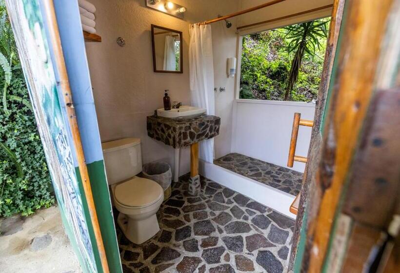 اتاق استاندارد یک نفره, Earth Lodge