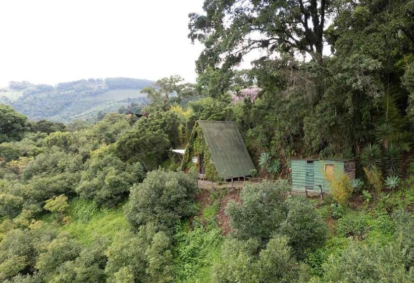 اتاق سه‌نفرۀ استاندارد با سرویس بهداشتی بیرون از اتاق, Earth Lodge