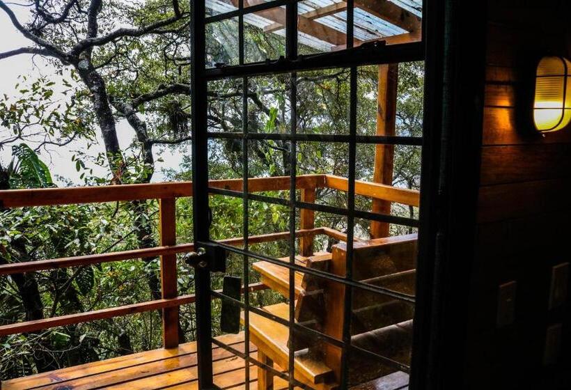 اتاق استاندارد, Earth Lodge