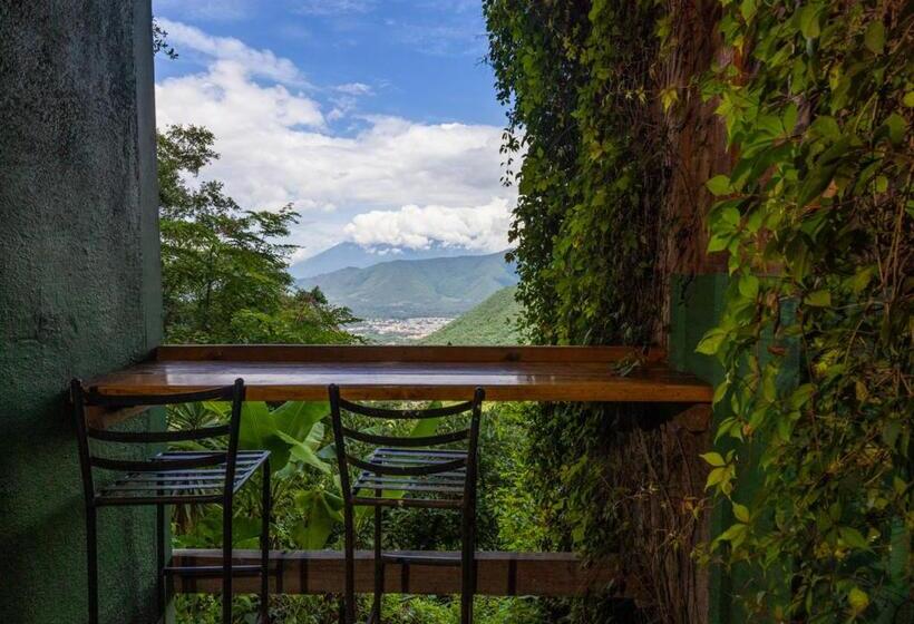 اتاق استاندارد, Earth Lodge