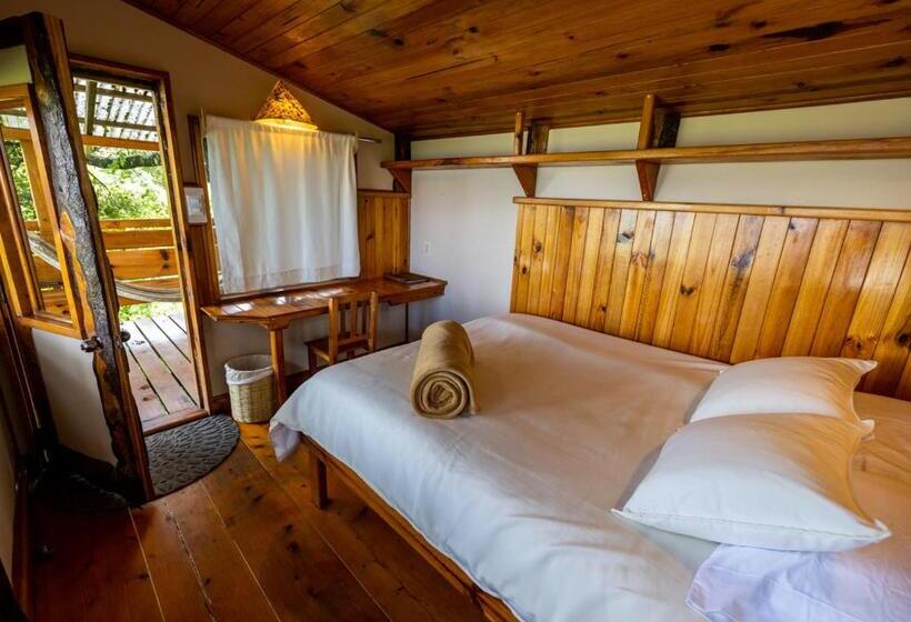 اتاق استاندارد یک نفره, Earth Lodge
