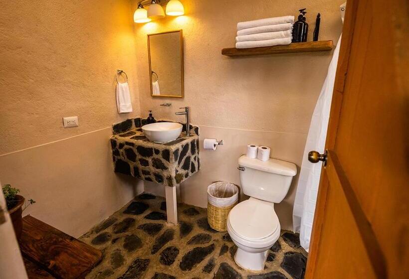 اتاق استاندارد یک نفره, Earth Lodge