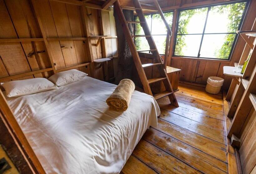 اتاق استاندارد, Earth Lodge