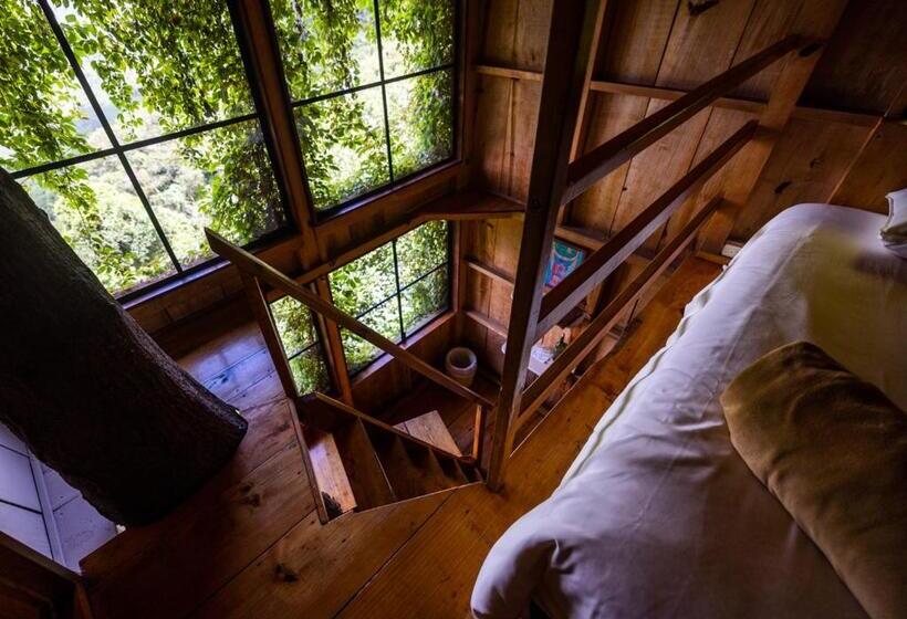 اتاق استاندارد, Earth Lodge