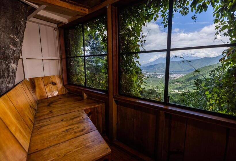 اتاق استاندارد, Earth Lodge