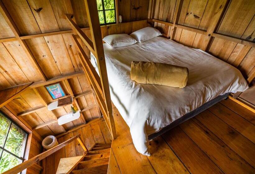 اتاق استاندارد, Earth Lodge