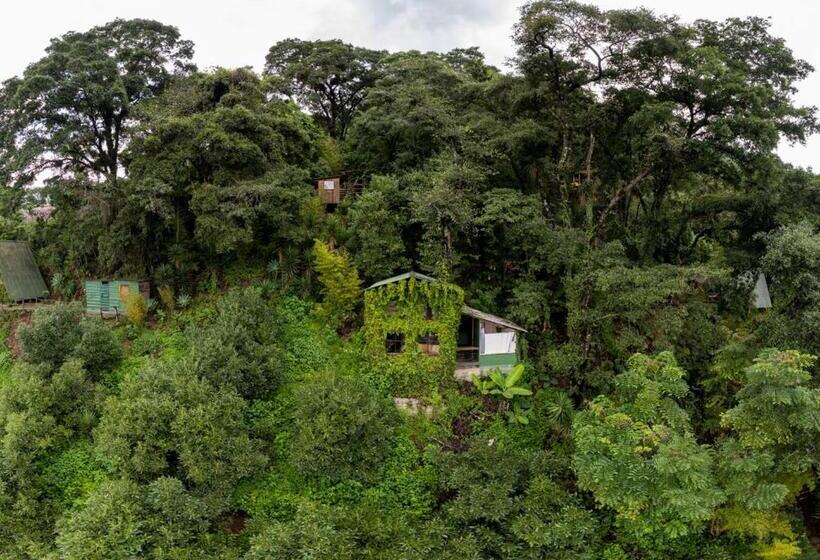 اتاق استاندارد, Earth Lodge