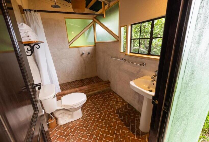 اتاق استاندارد, Earth Lodge