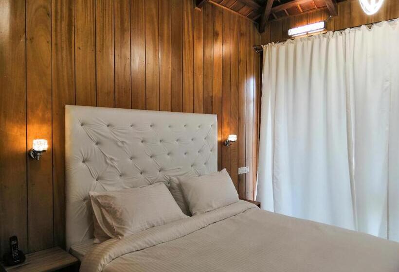 اتاق لوکس, Rainforest Resort