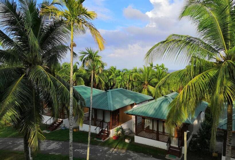 اتاق لوکس, Rainforest Resort