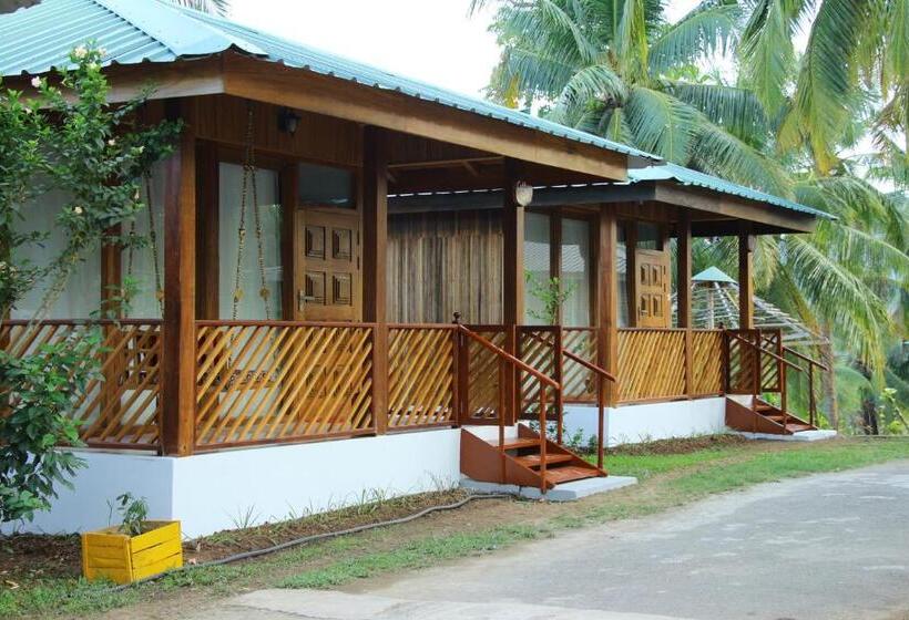 اتاق لوکس, Rainforest Resort