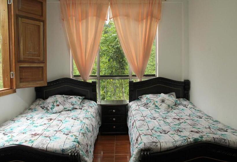 اتاق استاندارد چهار تخته, Eco Hotel El Columpio