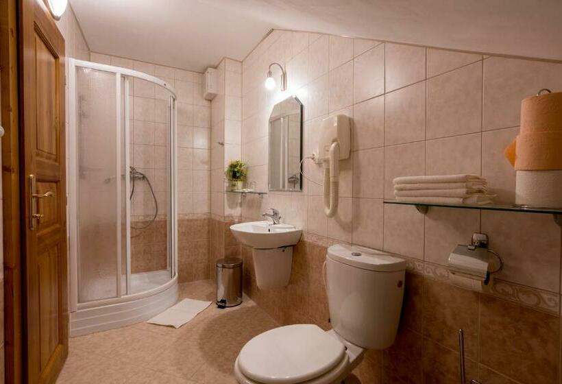 اتاق استاندارد, Penzion U Hrádku