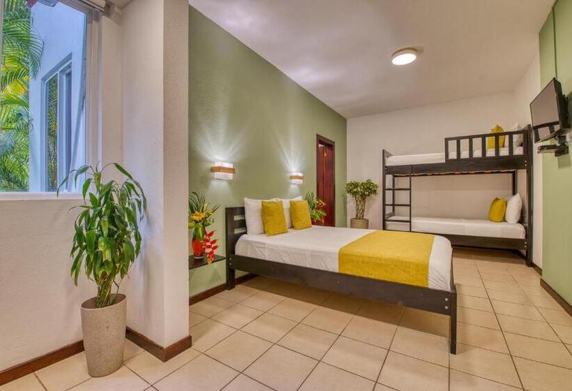 اتاق استاندارد, Terrazas Del Caribe