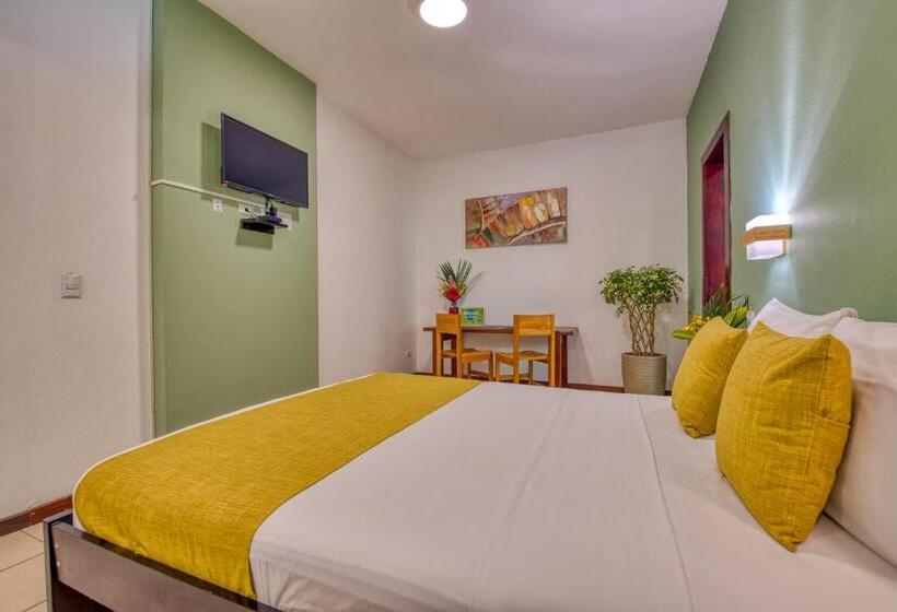 اتاق استاندارد برای معلولان, Terrazas Del Caribe