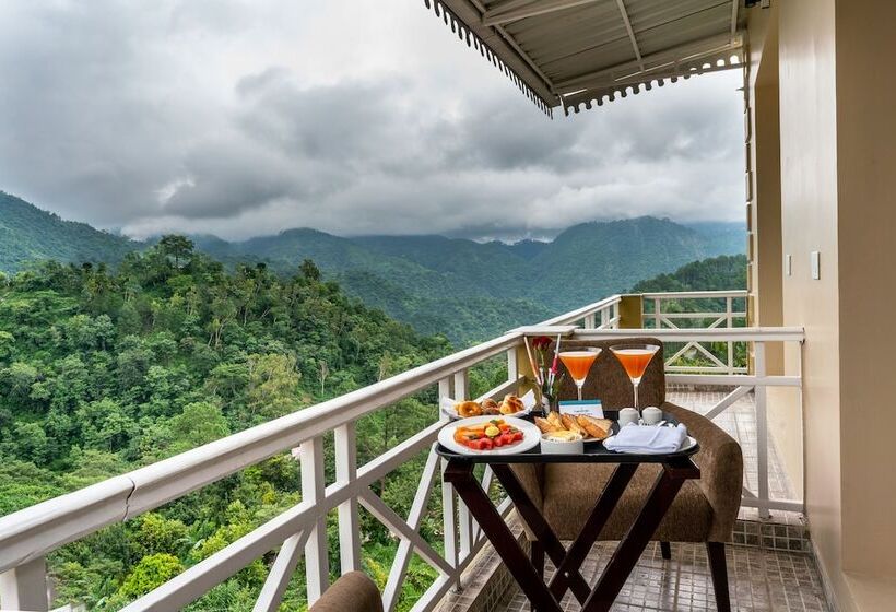 家庭套房, Cygnett Resort Mountain Breeze
