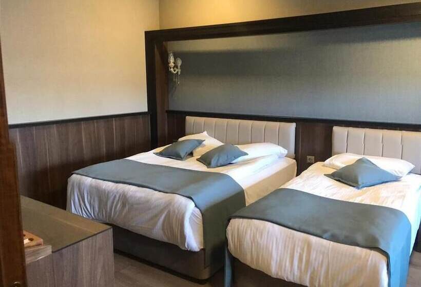 اتاق استاندارد, Valens Hotel Downtown