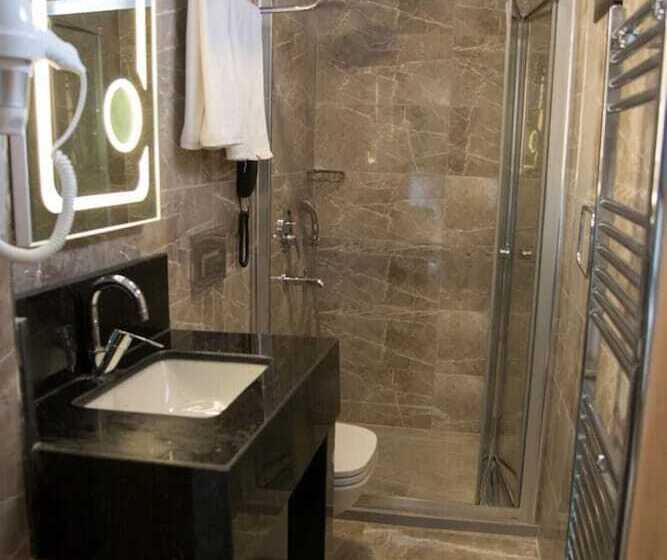 اتاق استاندارد یک نفره, Valens Hotel Downtown