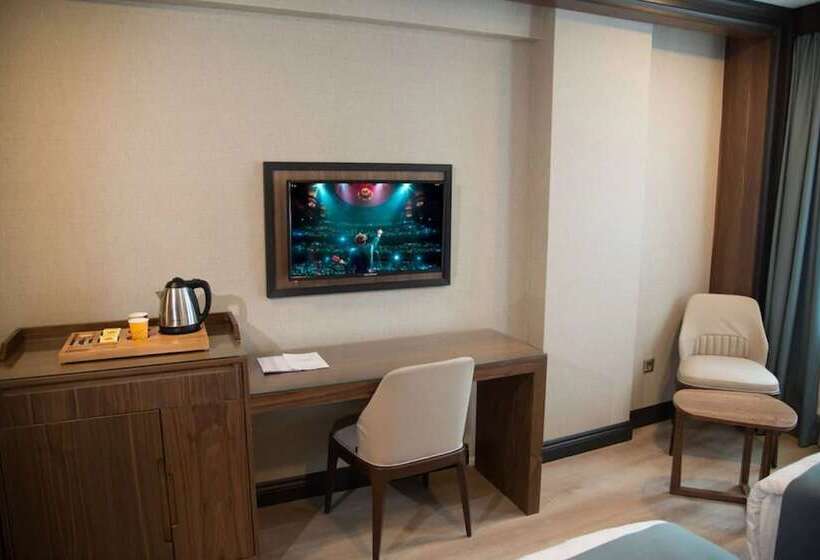 اتاق استاندارد یک نفره, Valens Hotel Downtown
