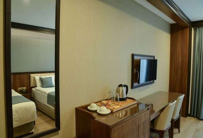 اتاق استاندارد یک نفره, Valens Hotel Downtown