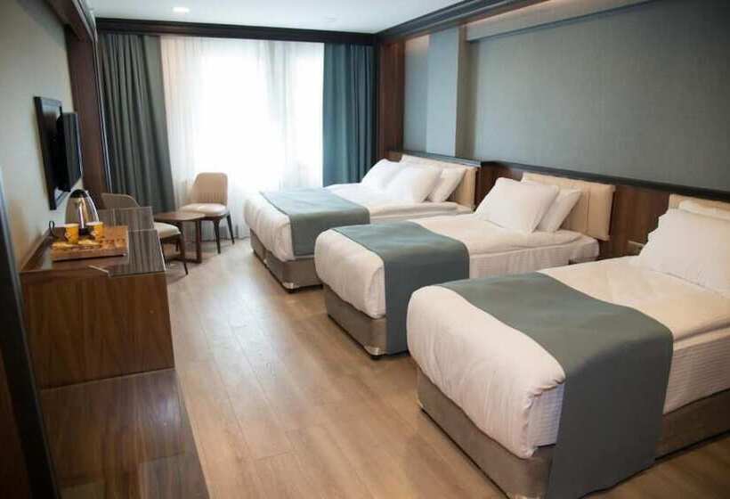 اتاق استاندارد سه نفره, Valens Hotel Downtown