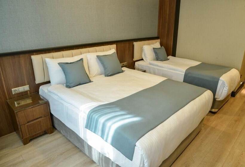 اتاق استاندارد سه نفره, Valens Hotel Downtown