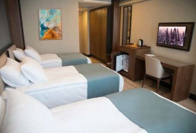 اتاق استاندارد چهار تخته, Valens Hotel Downtown