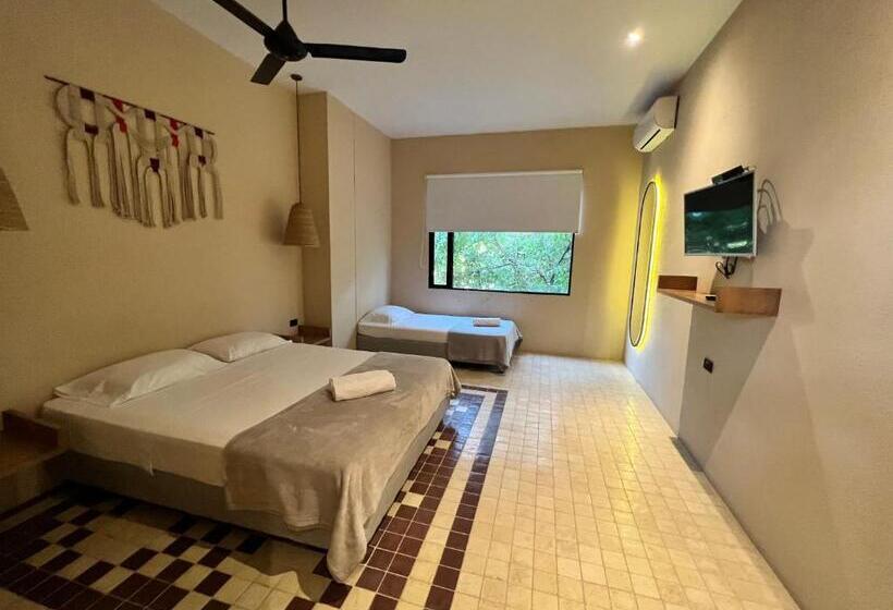 اتاق سوپریور سه تخته, Viajero Santa Marta Hostel