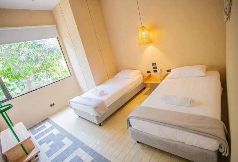 اتاق سوپریور, Viajero Santa Marta Hostel