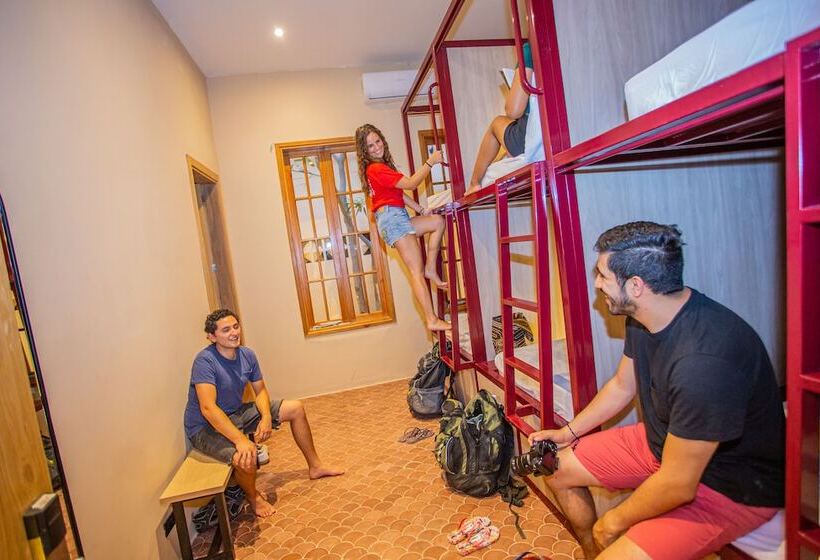 اتاق استاندارد, Viajero Santa Marta Hostel