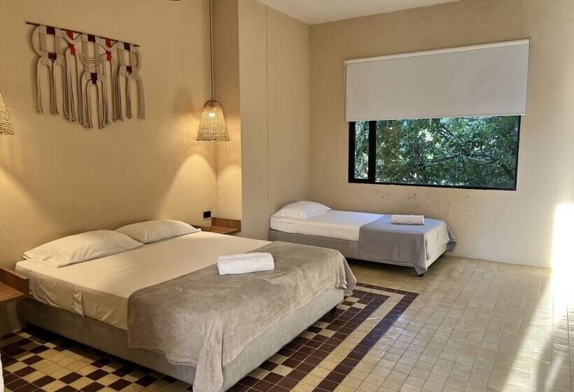 اتاق سوپریور سه تخته, Viajero Santa Marta Hostel