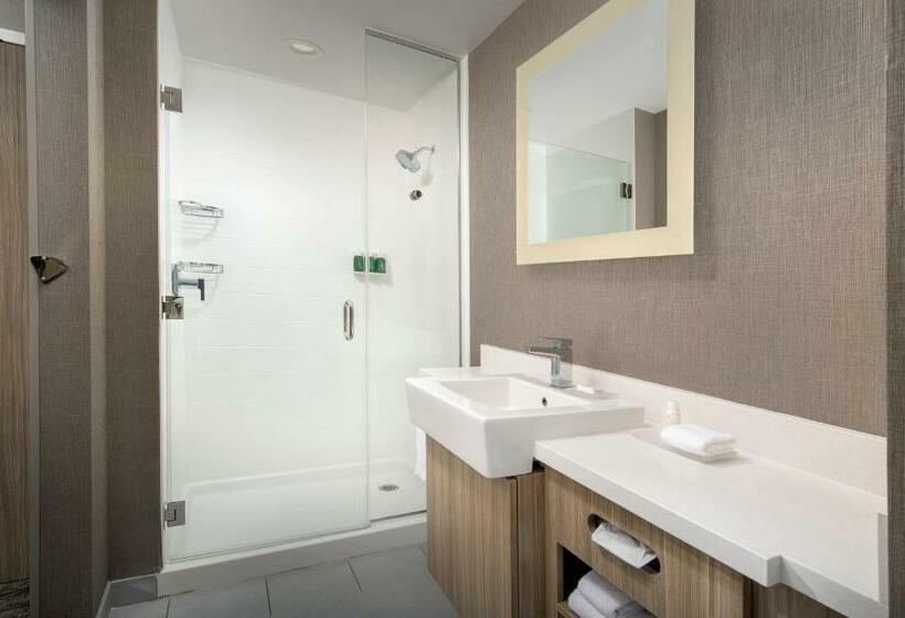 سوئیت با تخت بزرگ, Springhill Suites By Marriott Loveland Fort Collins/windsor