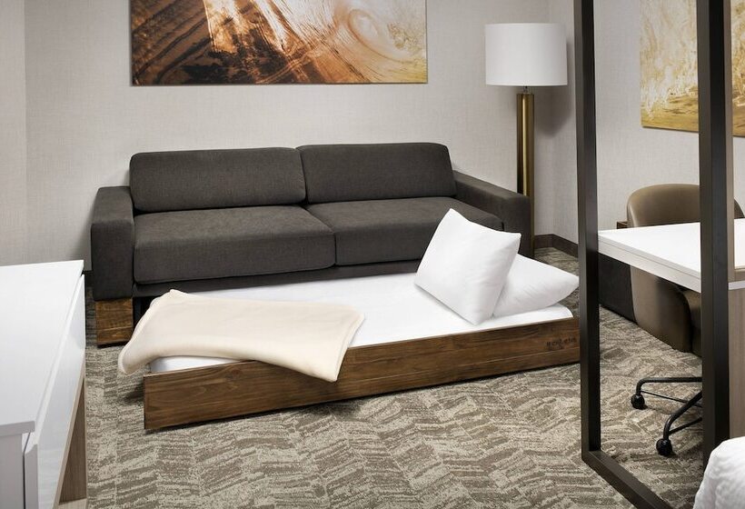 سوییت, Springhill Suites By Marriott Loveland Fort Collins/windsor