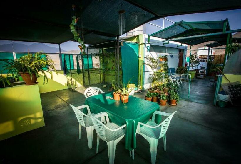 اتاق استاندارد با سرویس بهداشتی مشترک, Mama Backpackers