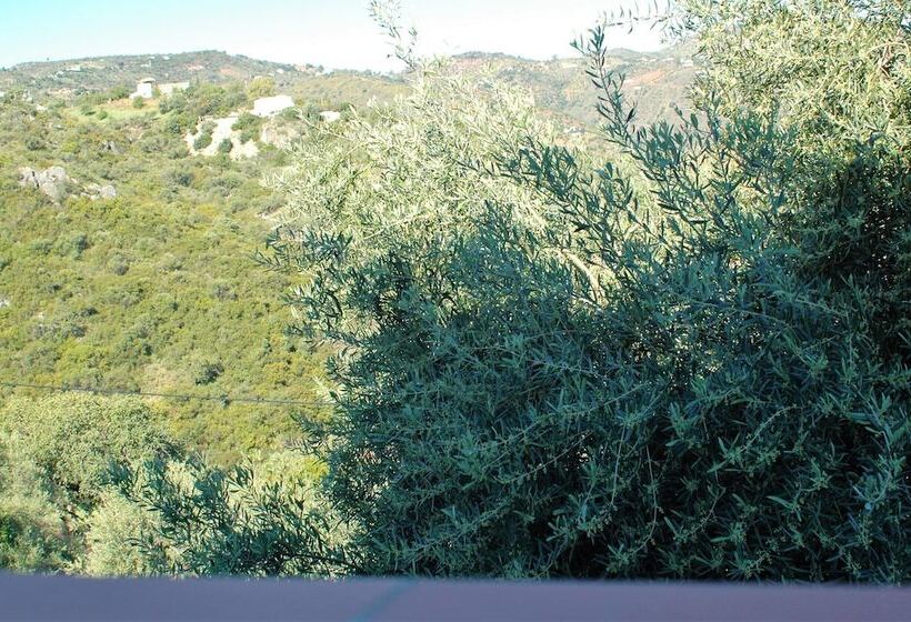 اتاق استاندارد, Jingtu Wellness & Spa Resort