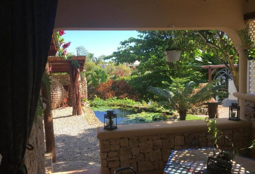 اتاق لوکس با تخت بزرگ, Cabrera Chalet Boutique