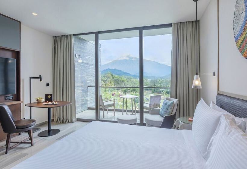 اتاق لوکس با چشمانداز, Gran Melia Arusha