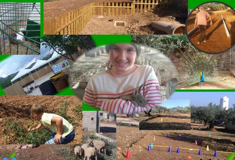 اتاق استاندارد چهار تخته, Hostal La Panavera