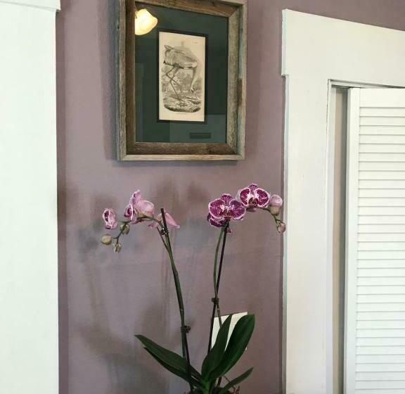 اتاق لوکس, Whooping Crane Manor B & B