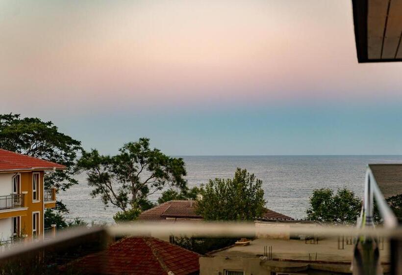 اتاق استاندارد, Family Hotel Laxo