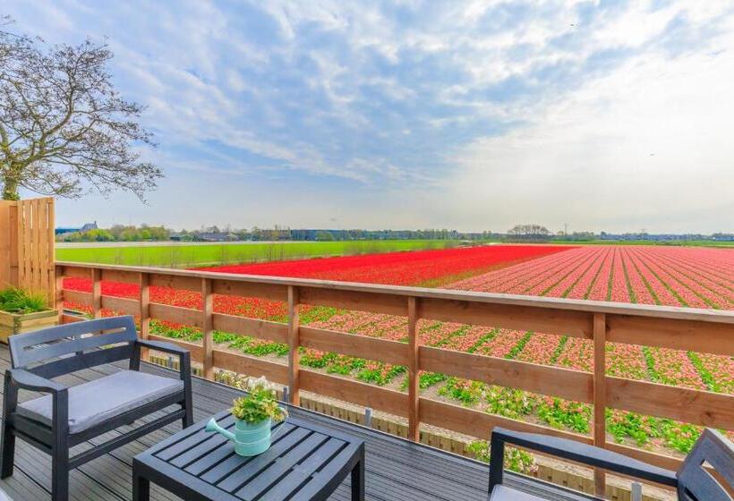 اتاق استاندارد با بالکن, B&b Blossom
