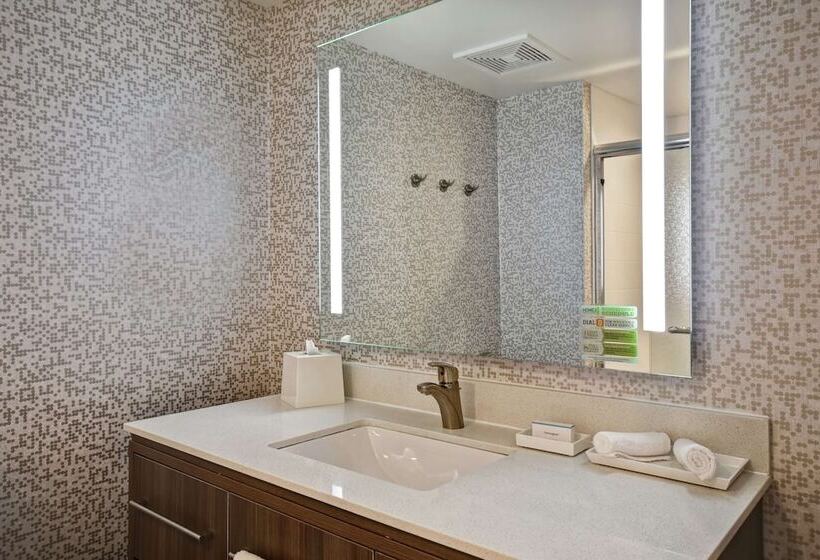 سوییت, Home2 Suites By Hilton Amherst Buffalo