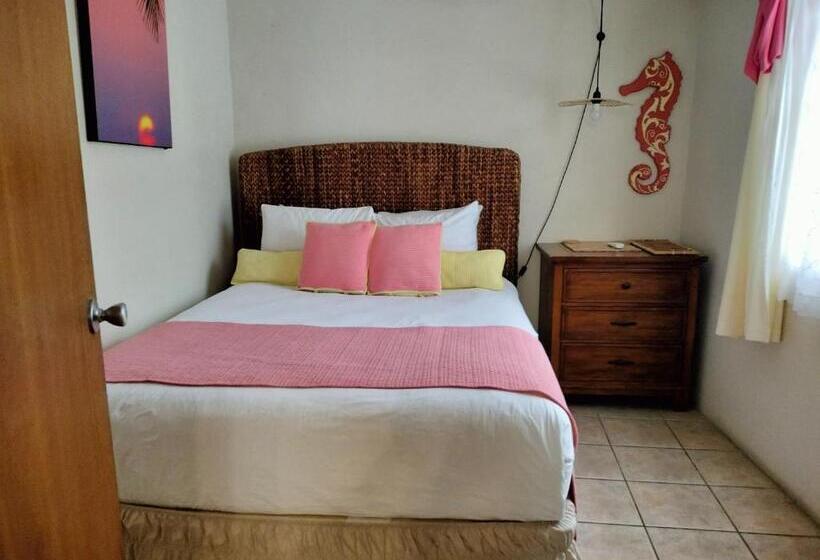 آپارتمان لوکس 1 خوابه, Casa De Tortuga