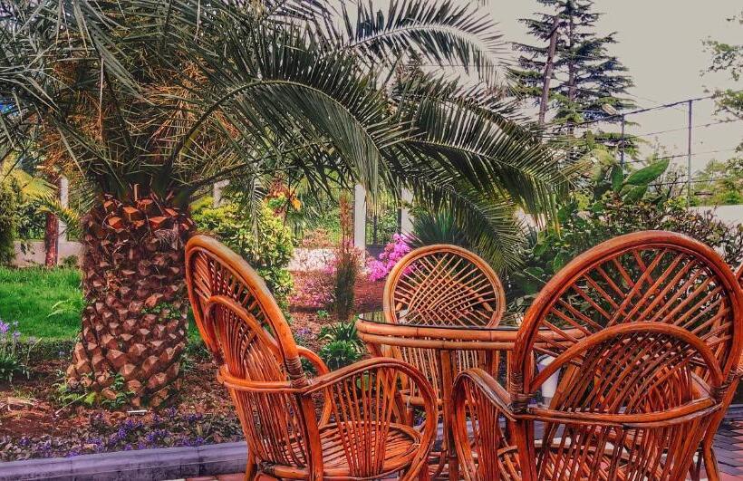 اتاق سوپریور چهار تخته, Tramonto