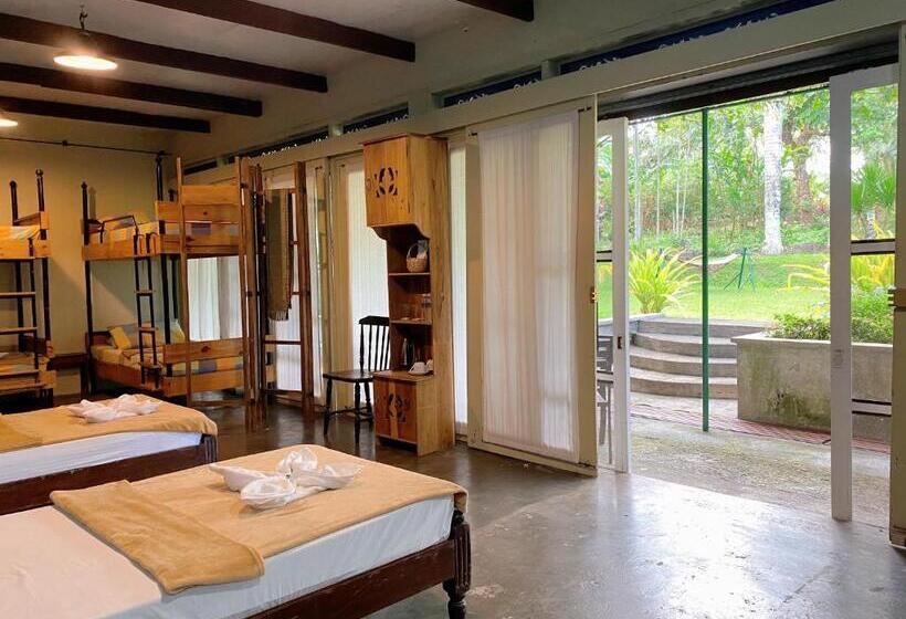 اتاق پریمیوم چهارنفره, Casa San Pablo B & B