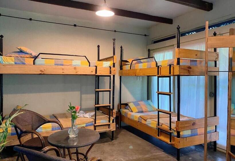اتاق پریمیوم چهارنفره, Casa San Pablo B & B