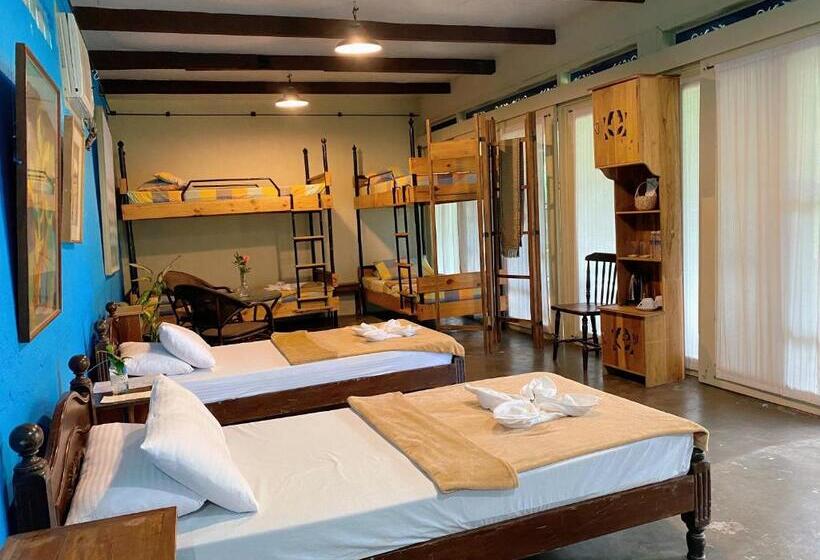 اتاق پریمیوم چهارنفره, Casa San Pablo B & B