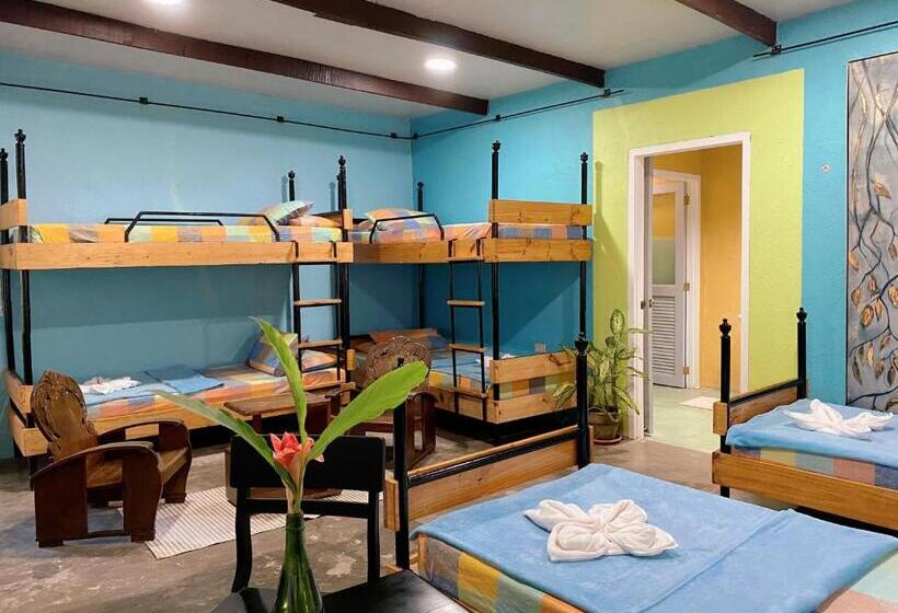 اتاق سوپریور سه تخته, Casa San Pablo B & B
